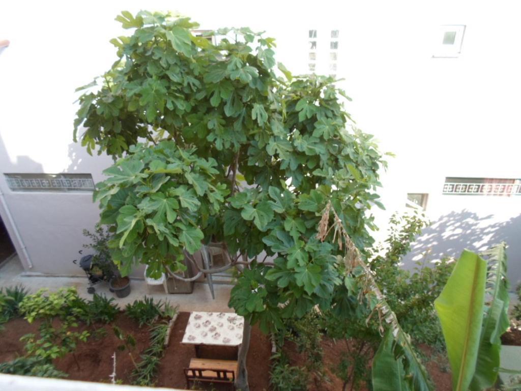 Apart Otel Banana